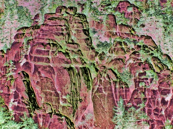 L 036C